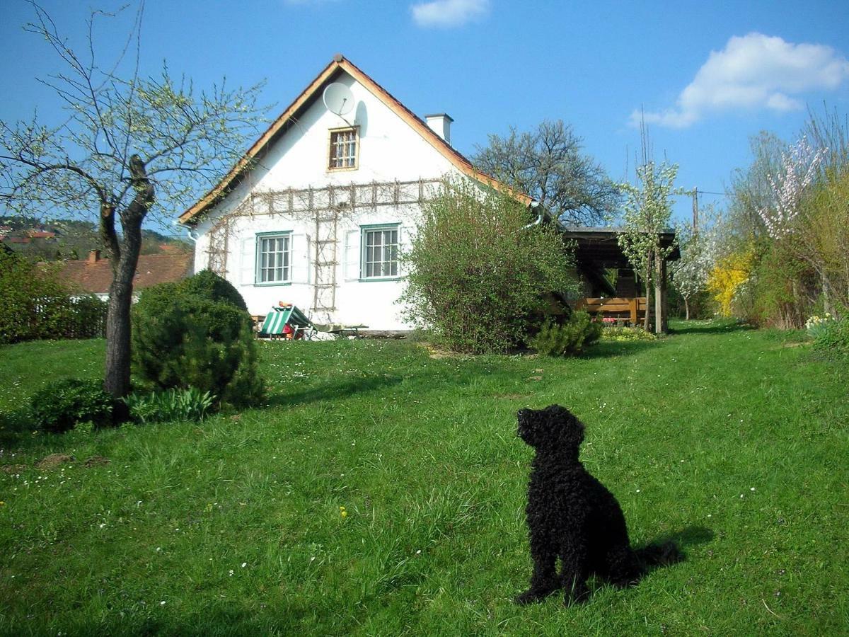 فيلا Beim Schachnerhaus Pöllauberg المظهر الخارجي الصورة